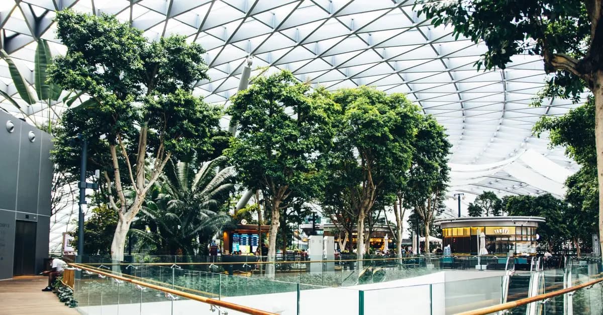 Vision du retail : Comment anticiper l'avenir du secteur