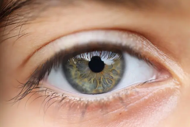 Comment la durabilité redéfinit la vision du retail moderne